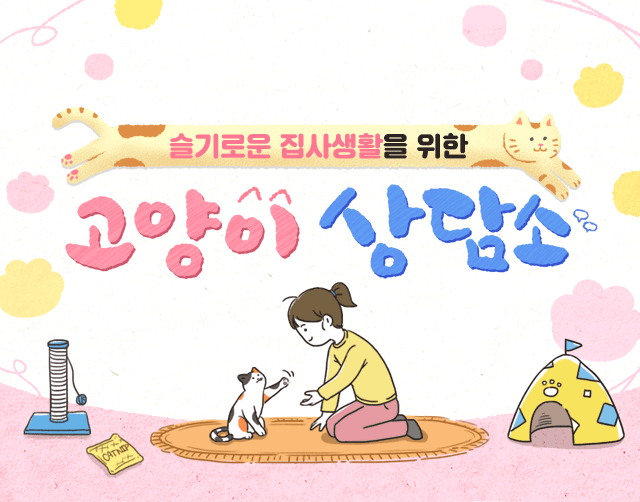 고양이 상담소