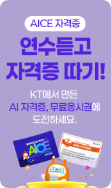 aice  자격증